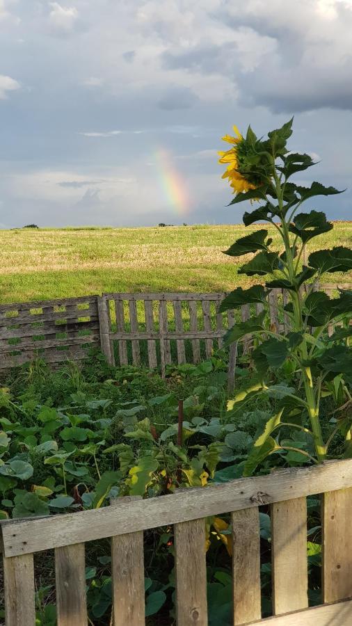 Camping La Petite Houmee Curzay-sur-Vonne Exteriör bild